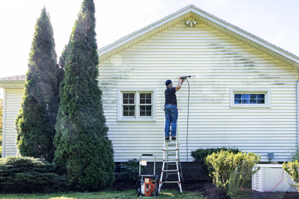 Best Patio and Deck Pressure Washing  in Des Allemands, LA